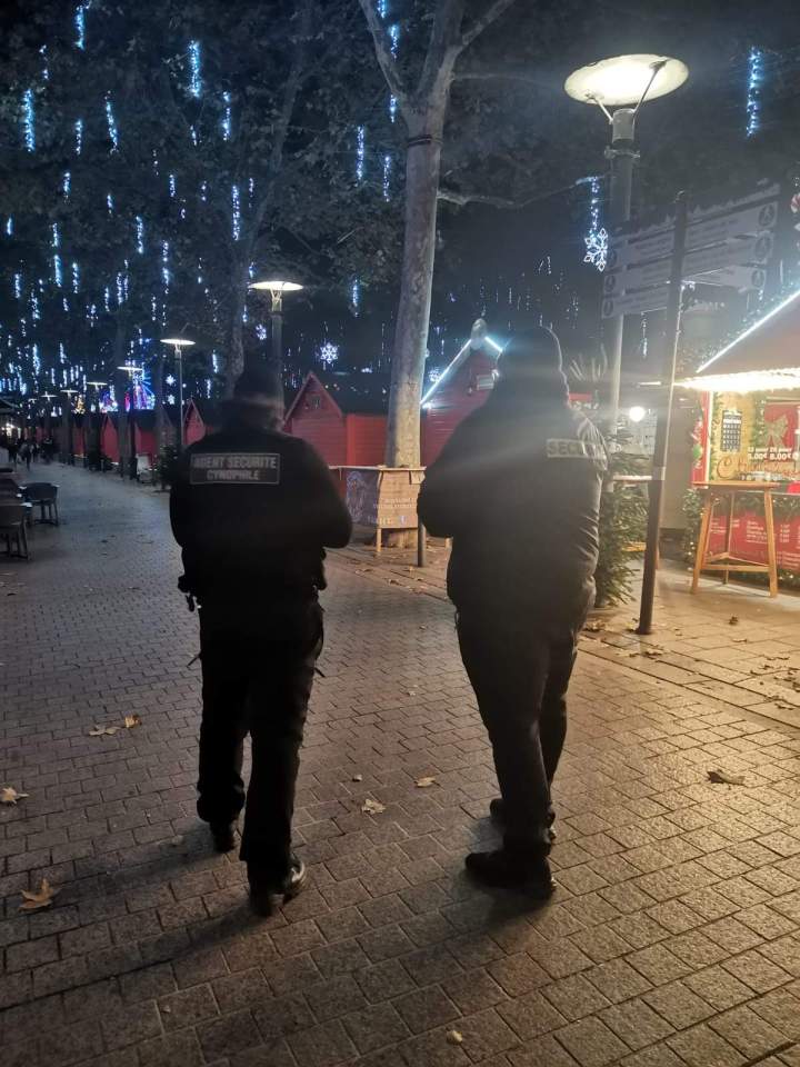 Patrouille sécurité Toulouse  